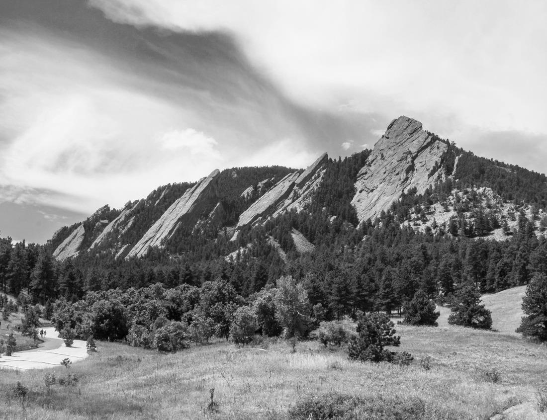 Noah Jigsaw Puzzle Lake Charles is a Town in Eastern Louisiana in black white 1000 pieces