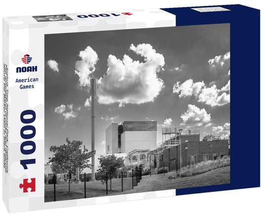 Noah Jigsaw Puzzle Joshua Tree National Park, California. The wonderland of rocks and reservoir above the Barker Dam in black white 1000 pieces