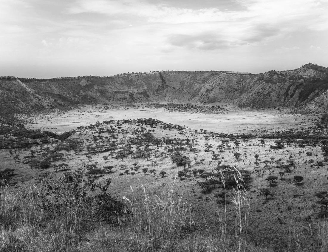 Noah Jigsaw Puzzle Evening in Kalisz Wielkopolski, Poland in black white 1000 pieces