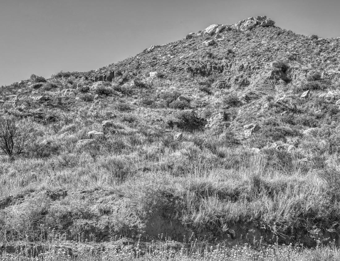 Noah Jigsaw Puzzle Augusta, Maine, USA skyline on the Kennebec River in the morning in black white 1000 pieces