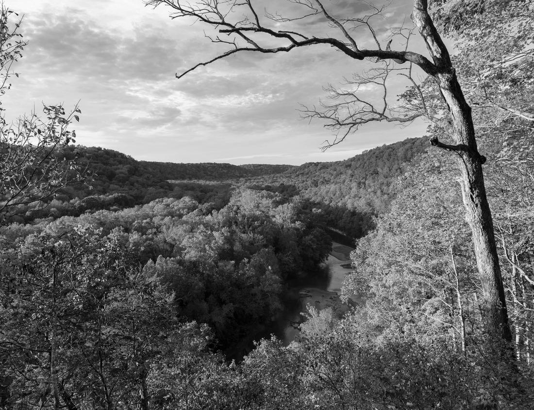 Noah Jigsaw Puzzle Louisville, Kentucky, USA skyline by the river in black white 1000 pieces