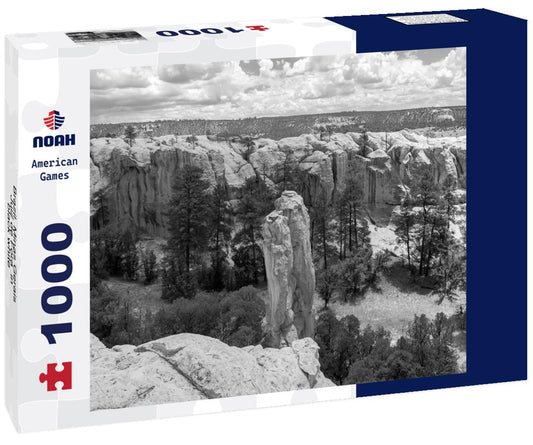 Noah Jigsaw Puzzle Brazil, Minas Gerais, Juiz de Fora  in black white 1000 pieces