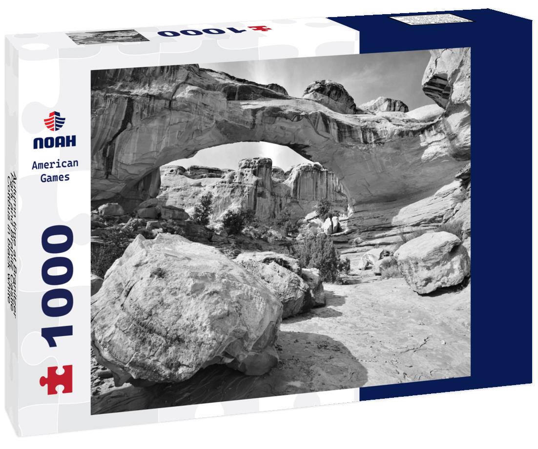 Noah Jigsaw Puzzle Autumn time at Branitzer Park and Branitz Castle, Cottbus in black white 1000 pieces