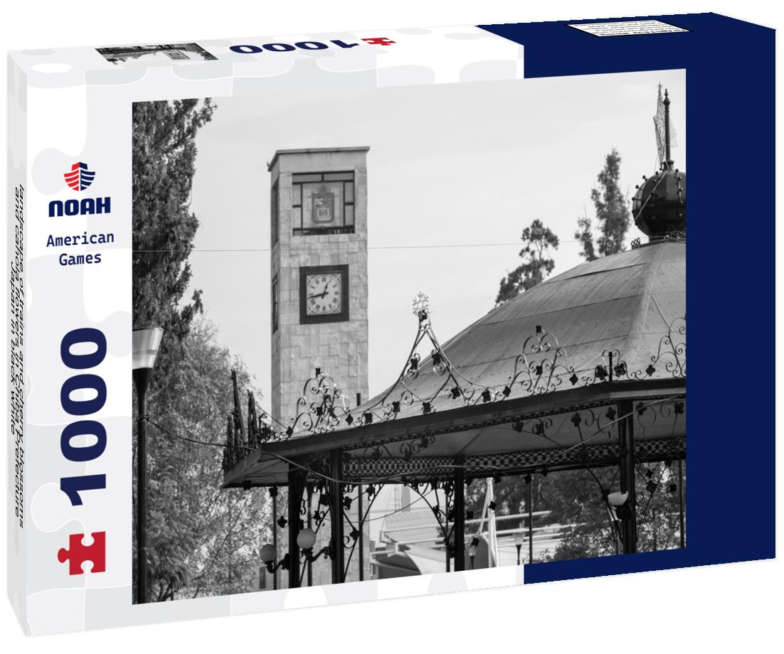 Noah Jigsaw Puzzle landscape of trains and cherry blossoms and canola flowers in Chiba Prefecture, Japan in black white 1000 pieces