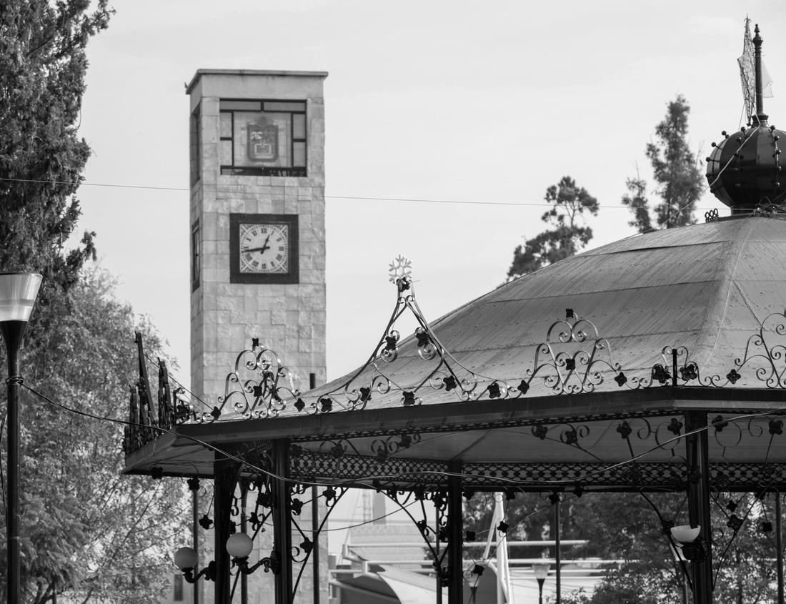 Noah Jigsaw Puzzle landscape of trains and cherry blossoms and canola flowers in Chiba Prefecture, Japan in black white 1000 pieces