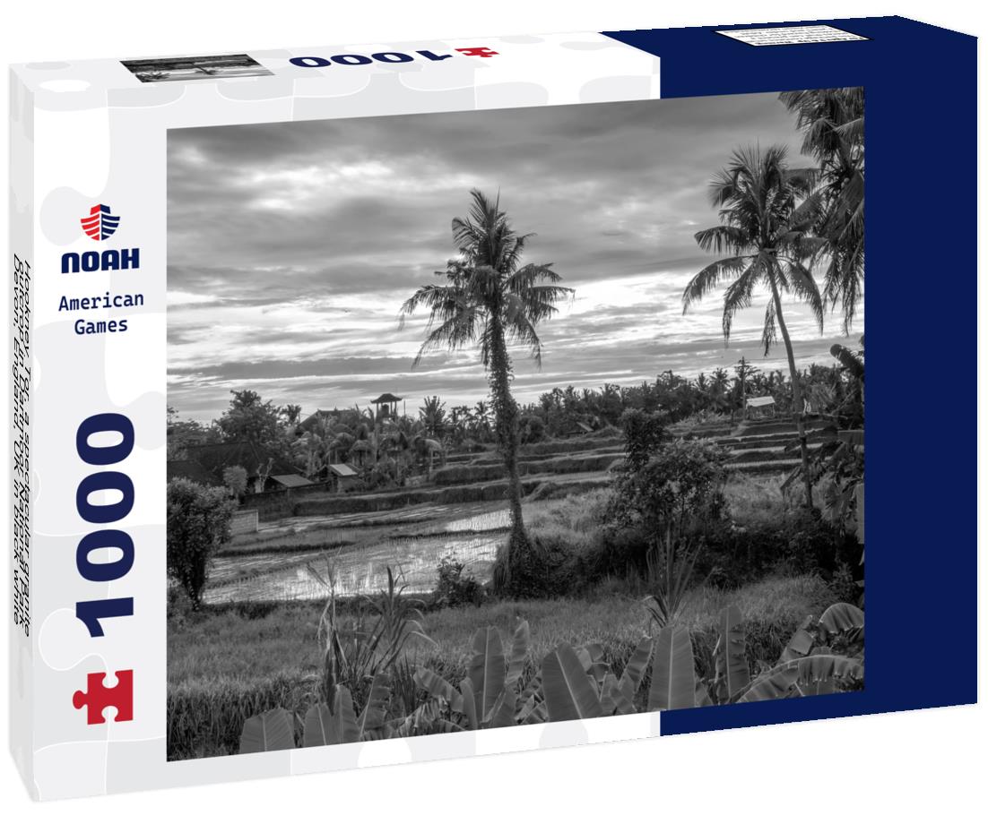 Noah Jigsaw Puzzle Hookney Tor, a spectacular granite outcrop in Dartmoor National Park, Devon, England, UK in black white 1000 pieces