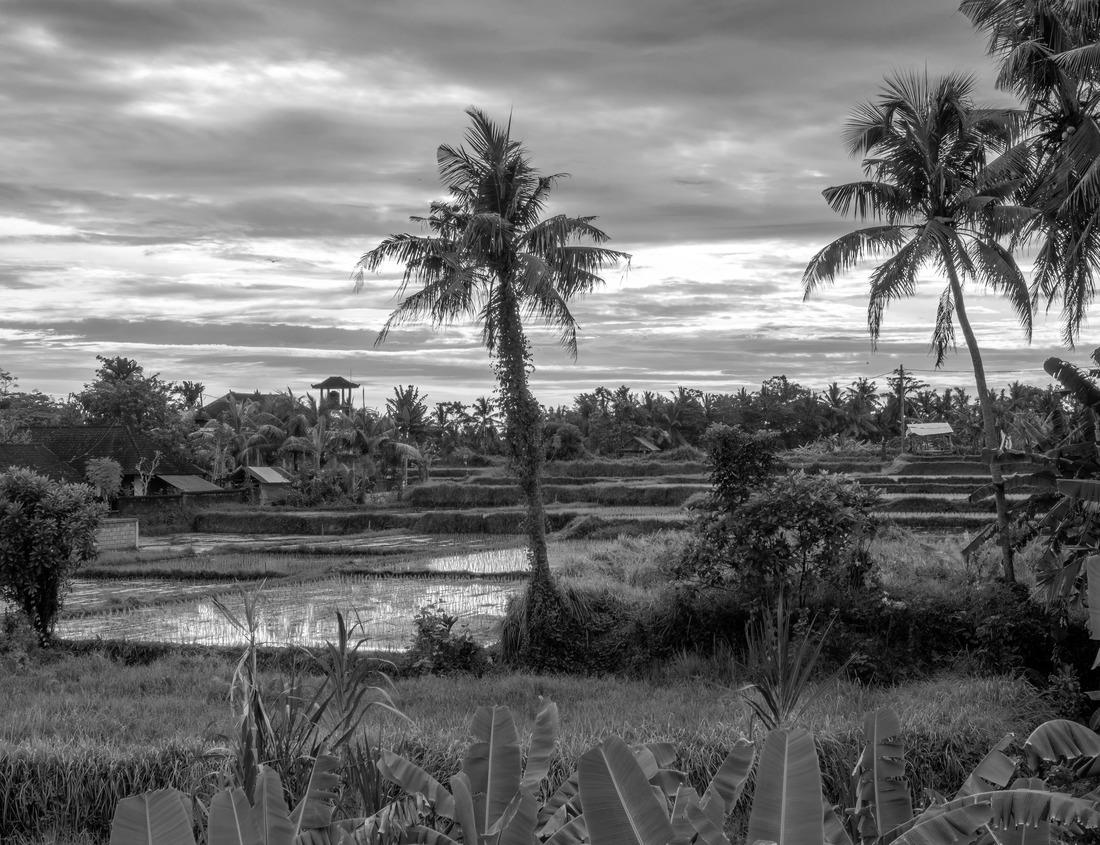 Noah Jigsaw Puzzle Hookney Tor, a spectacular granite outcrop in Dartmoor National Park, Devon, England, UK in black white 1000 pieces