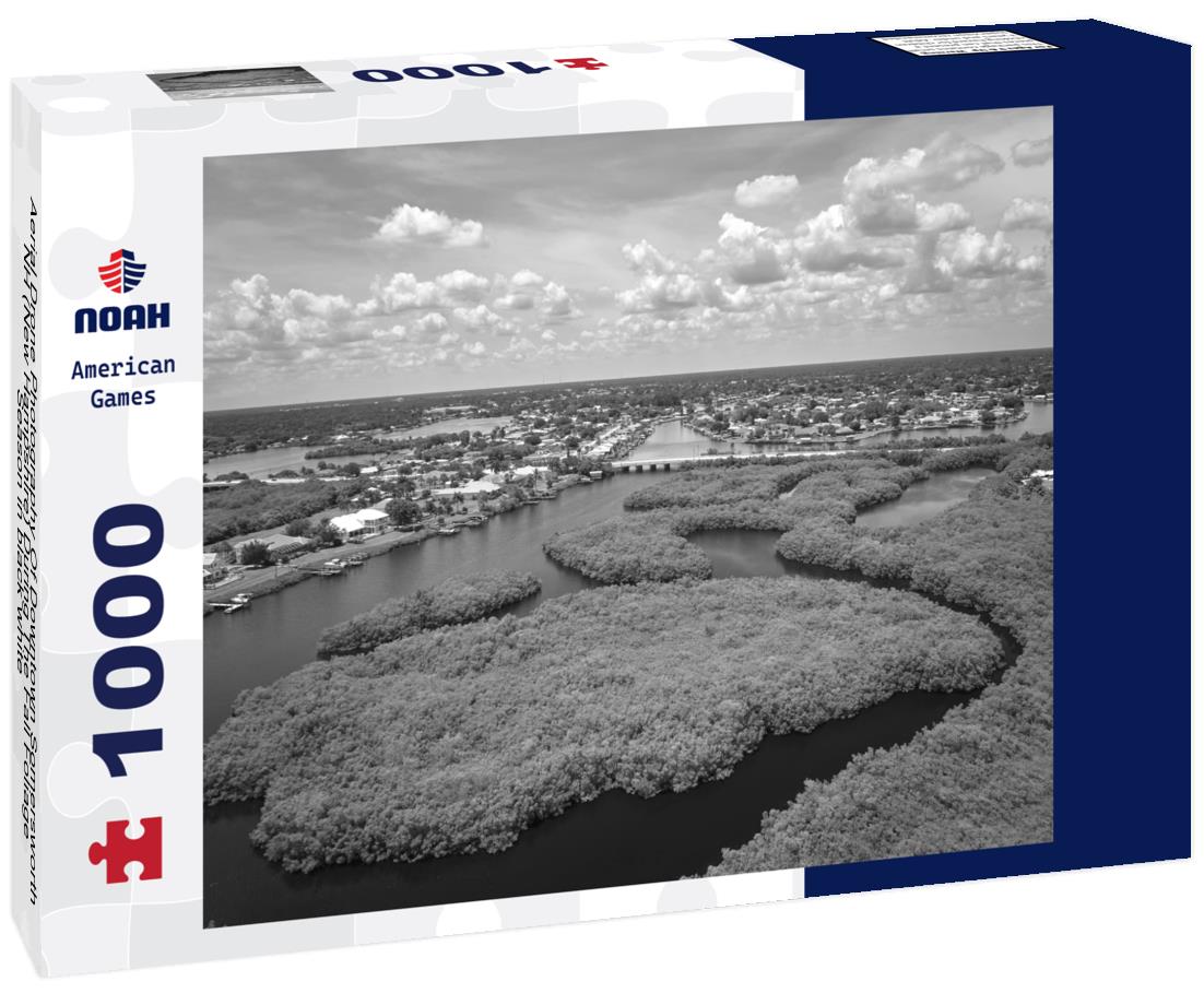 Noah Jigsaw Puzzle Aerial Drone Photography Of Downtown Somersworth, NH (New Hampshire) During The Fall Foliage Season in black white 1000 pieces