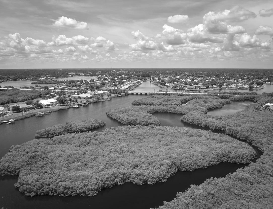Noah Jigsaw Puzzle Aerial Drone Photography Of Downtown Somersworth, NH (New Hampshire) During The Fall Foliage Season in black white 1000 pieces