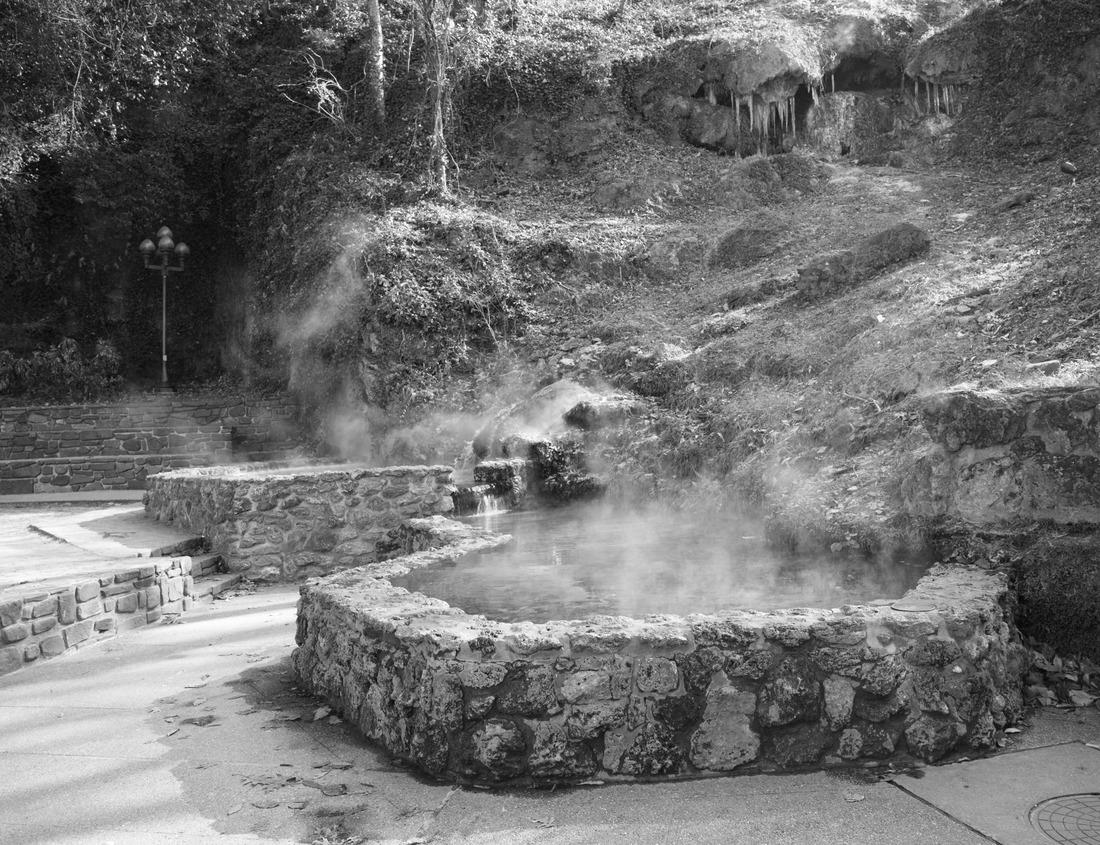 Noah Jigsaw Puzzle Mangroves in the Edge of Biscayne Bay in black white 1000 pieces