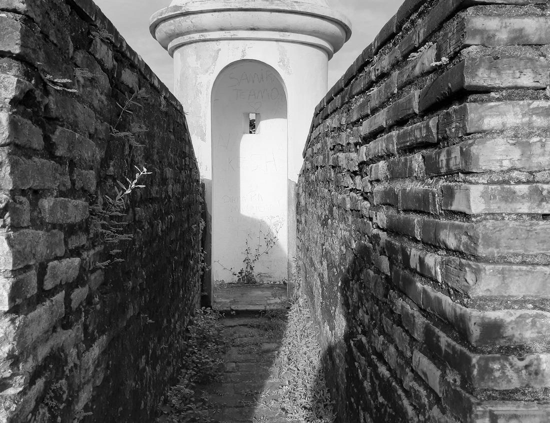 Noah Jigsaw Puzzle Main facade of the São Miguel church, Castelo Branco cathedral in Portugal, on a sunny spring day in black white 1000 pieces