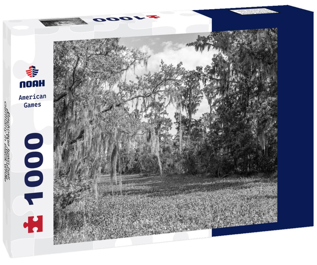 Noah Jigsaw Puzzle Backnang town hall, Baden-Württemberg, Germany in black white 1000 pieces