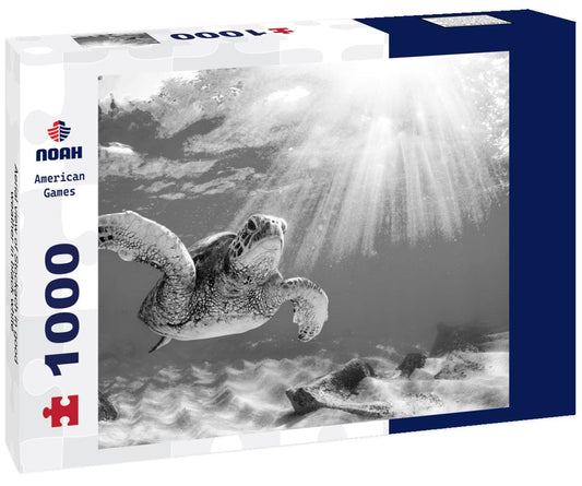 Noah Jigsaw Puzzle Aerial view of Stockach in good weather in black white 1000 pieces