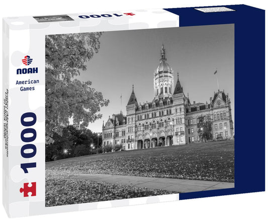 Noah Jigsaw Puzzle Boston (Massachusetts, USA) with fireworks in black white 1000 pieces