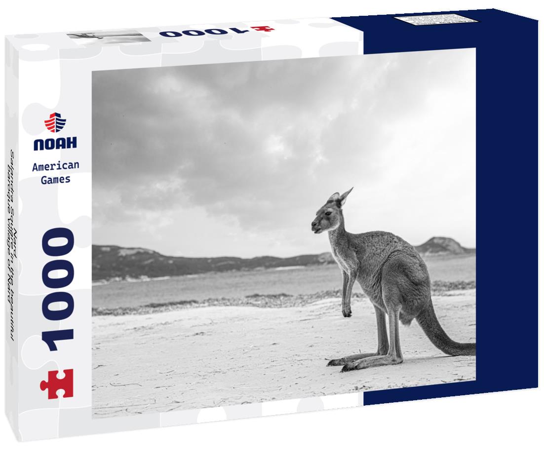 Noah Jigsaw Puzzle Nardò - Salandra Square in the beautiful baroque village of Nardò in Puglia, Italy in black white 1000 pieces