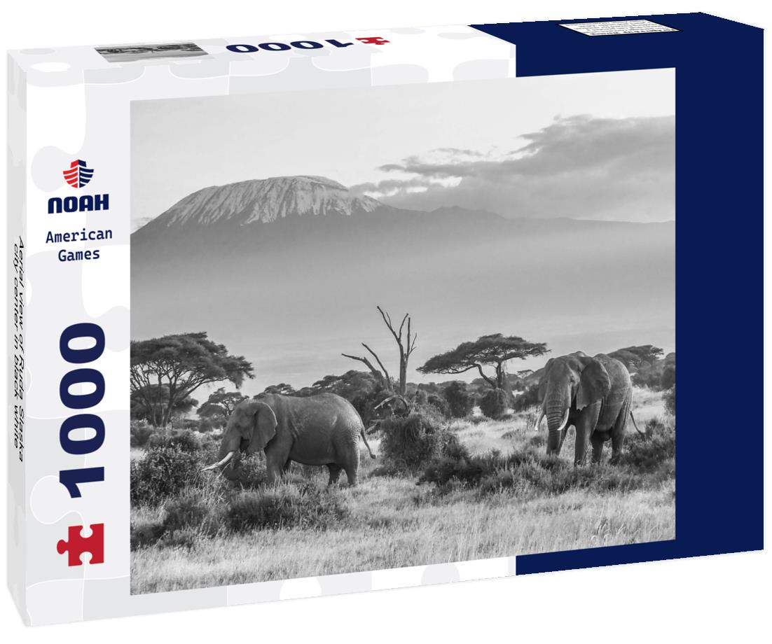 Noah Jigsaw Puzzle Aerial view of Ruda Slaska city center in black white 1000 pieces