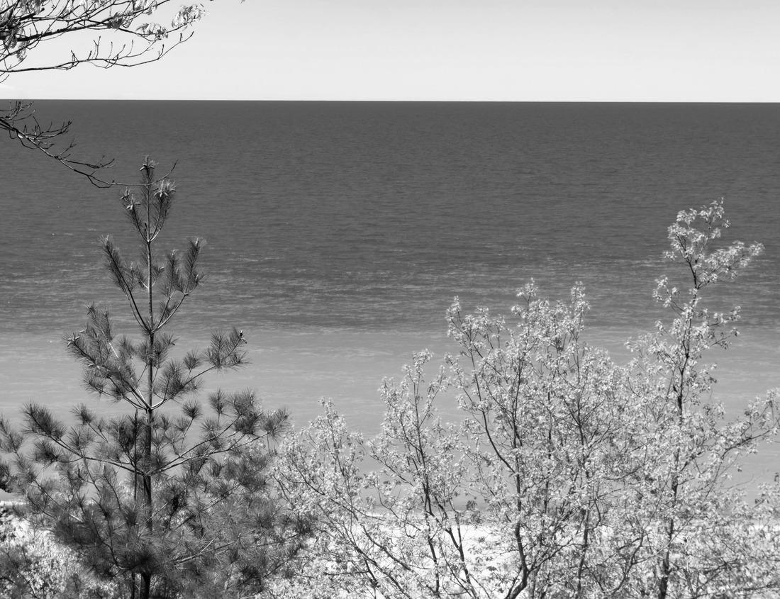 Noah Jigsaw Puzzle Magnificent morning cityscape of Alghero city, Sassari Province, Italy in black white 1000 pieces