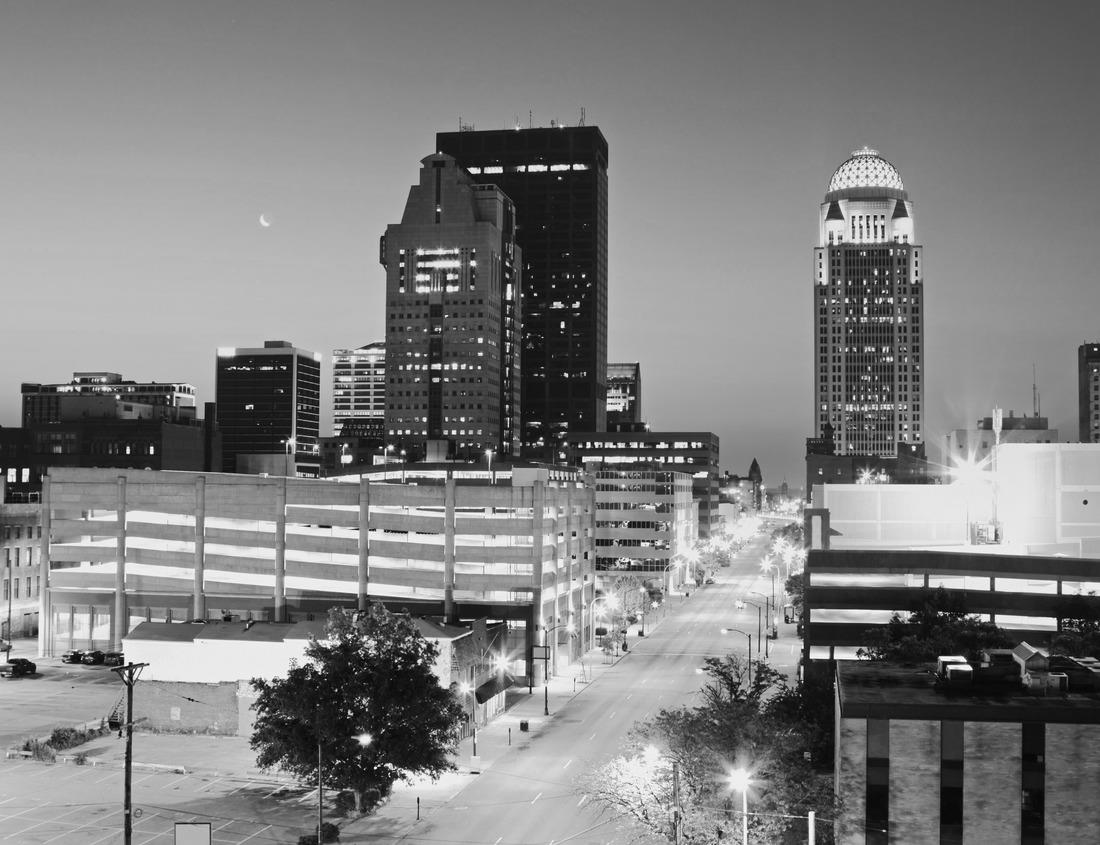 Noah Jigsaw Puzzle Geneva skyline in black white 1000 pieces