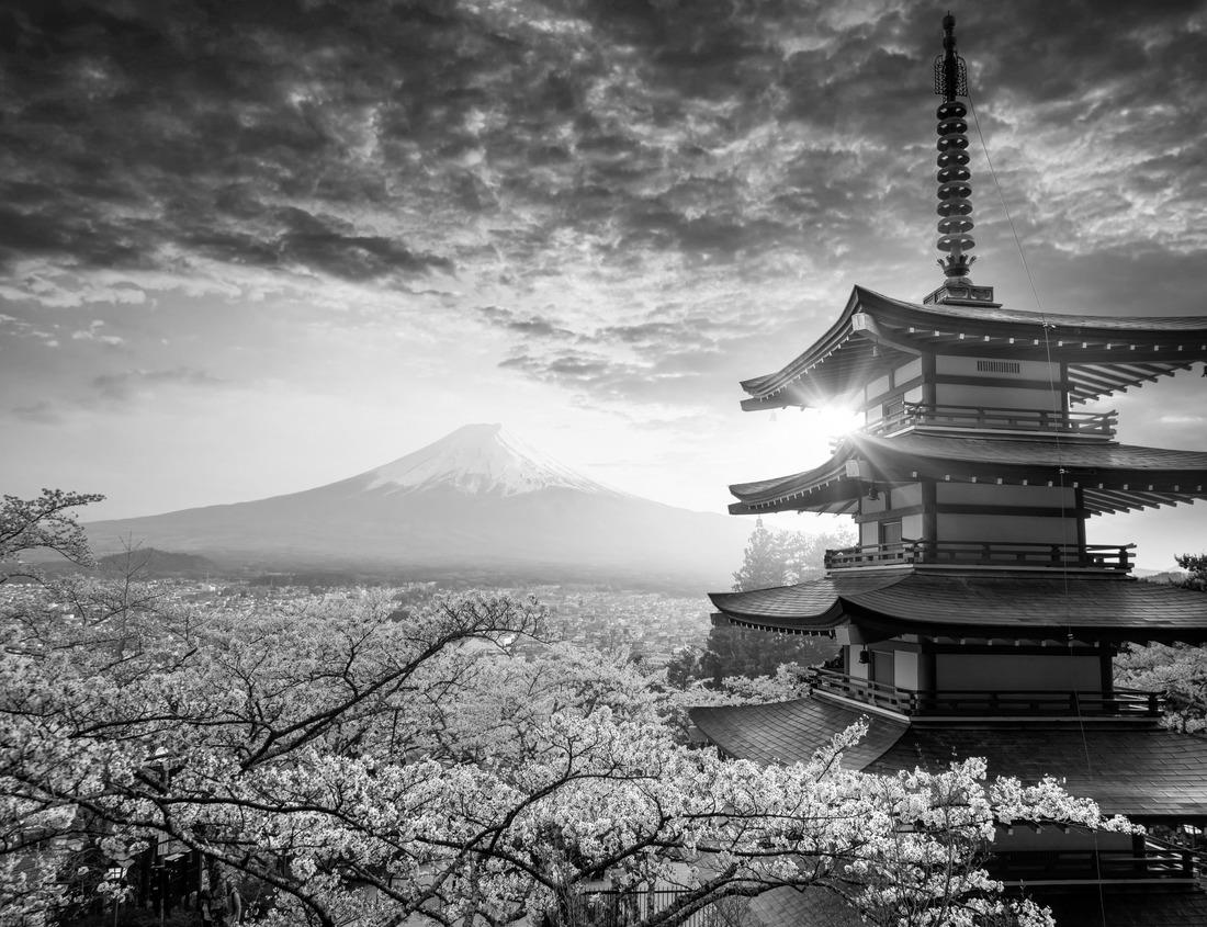 Noah Jigsaw Puzzle Lake Apopka with clouds and blue sky in Florida's winter garden in black white 1000 pieces