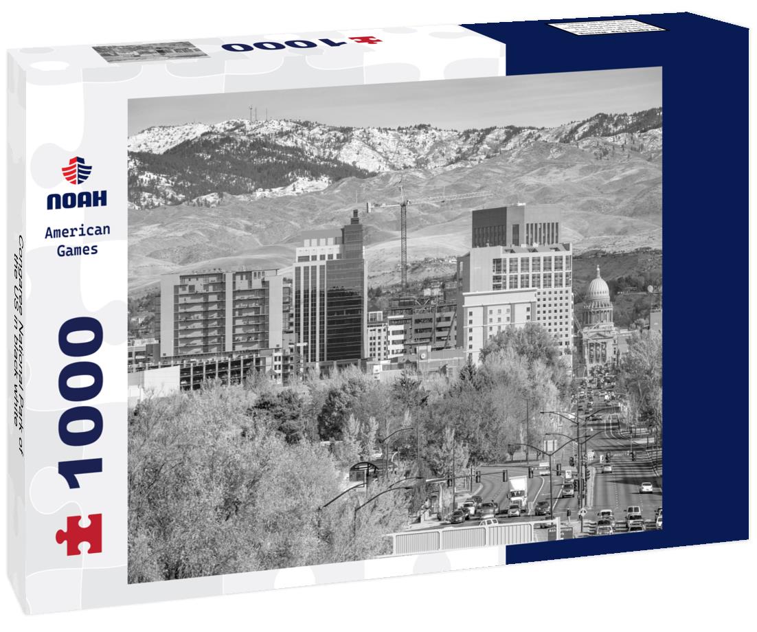 Noah Jigsaw Puzzle Congaree National Park of the US in black white 1000 pieces