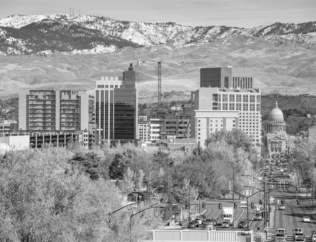 Noah Jigsaw Puzzle Congaree National Park of the US in black white 1000 pieces