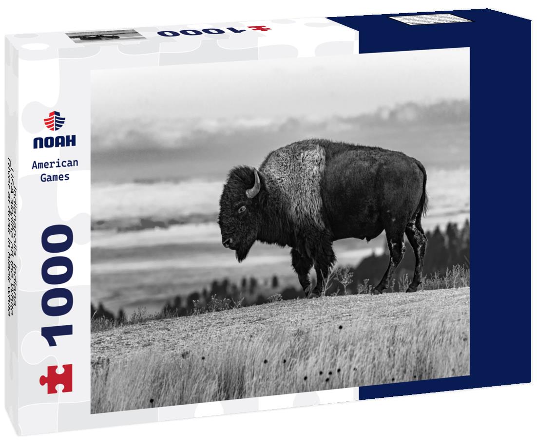 Noah Jigsaw Puzzle Indianapolis, Indiana, USA skyline on the White River at dusk in black white 1000 pieces