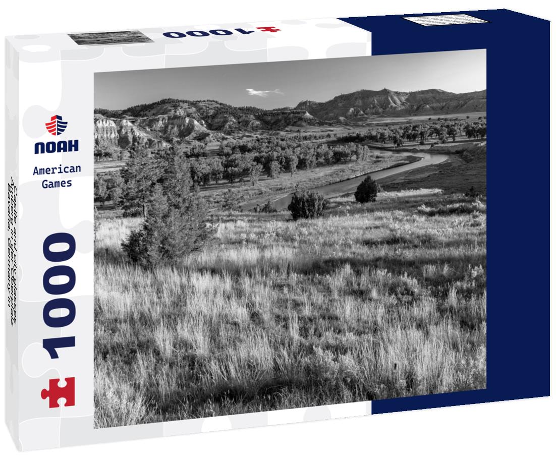 Noah Jigsaw Puzzle Castle and city glasses, Amberg in der Oberpfalz, Bavaria, Germany in black white 1000 pieces