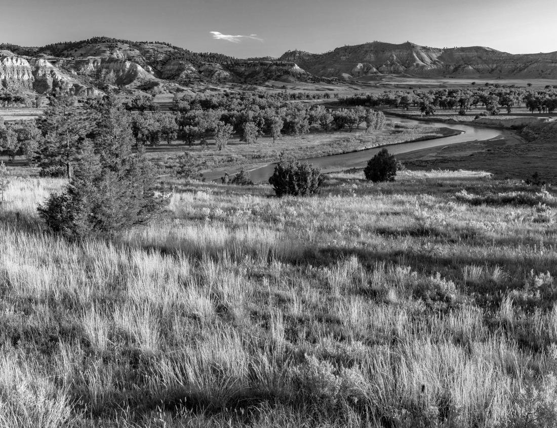 Noah Jigsaw Puzzle Castle and city glasses, Amberg in der Oberpfalz, Bavaria, Germany in black white 1000 pieces