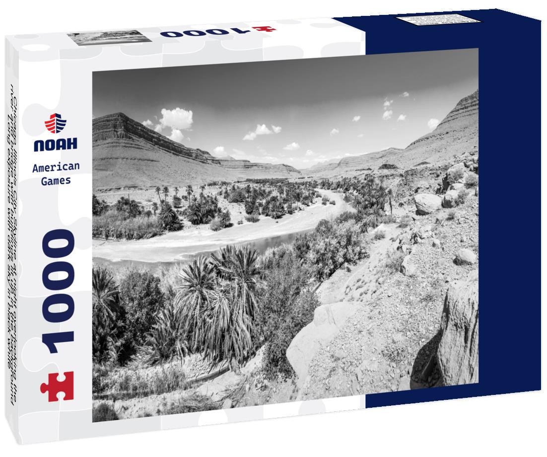 Noah Jigsaw Puzzle Chicago Illinois City Skyline at night overlooking the river and bridge with buildings lit up in the background Long exposure with dark sky in black white 1000 pieces