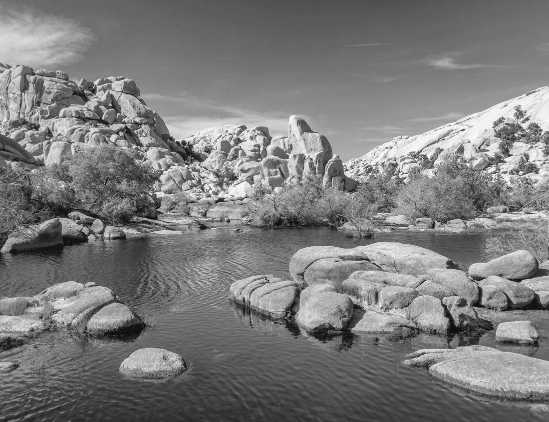 Noah Jigsaw Puzzle Huntsville, Alabama, USA park and downtown cityscape at dusk in black white 1000 pieces