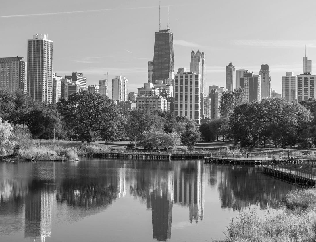 Noah Jigsaw Puzzle Beautiful vineyard at sunset. Traveling through Tuscany, Italy in black white 1000 pieces