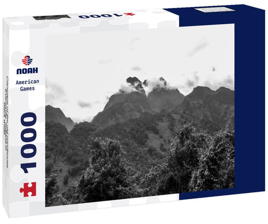 Noah Jigsaw Puzzle Cityscape of the old courthouse Evansville, Indiana in black white 1000 pieces