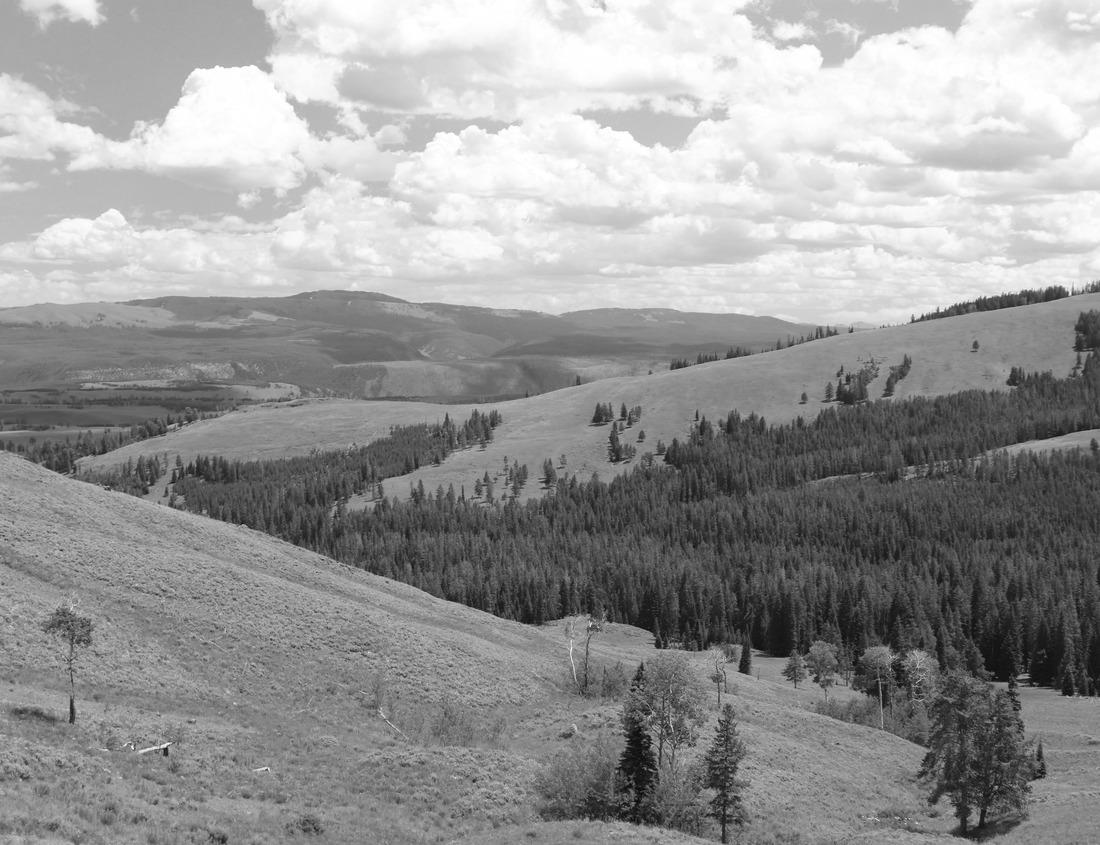 Noah Jigsaw Puzzle Landmarks around Washington DC includes Capitol Building, Supreme Court, Washington monument, national mall in black white 1000 pieces