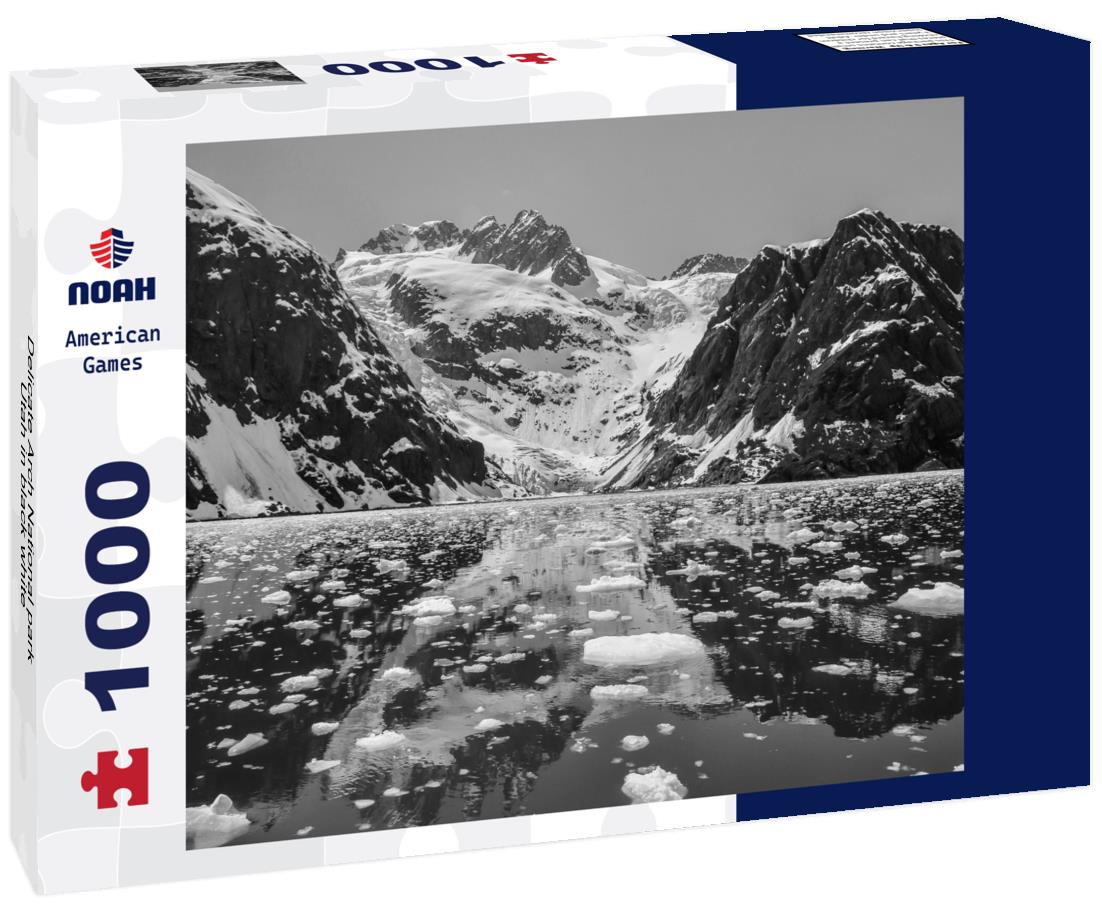 Noah Jigsaw Puzzle Delicate Arch National park Utah in black white 1000 pieces