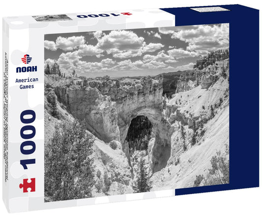 Noah Jigsaw Puzzle Asian woman wearing japanese traditional kimono looking at cherry blossoms and castle in Osaka, Japan in black white 1000 pieces