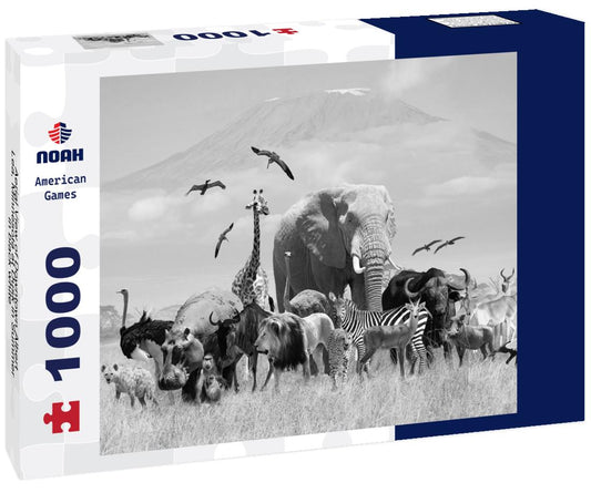 Noah Jigsaw Puzzle Aerial View of Downtown Albert Lea, Minnesota at Dusk in Summer in black white 1000 pieces