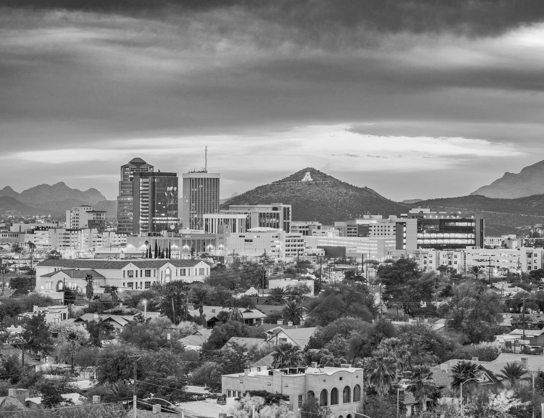 Noah Jigsaw Puzzle Aerial view of downtown Alexandria, Minnesota in black white 1000 pieces