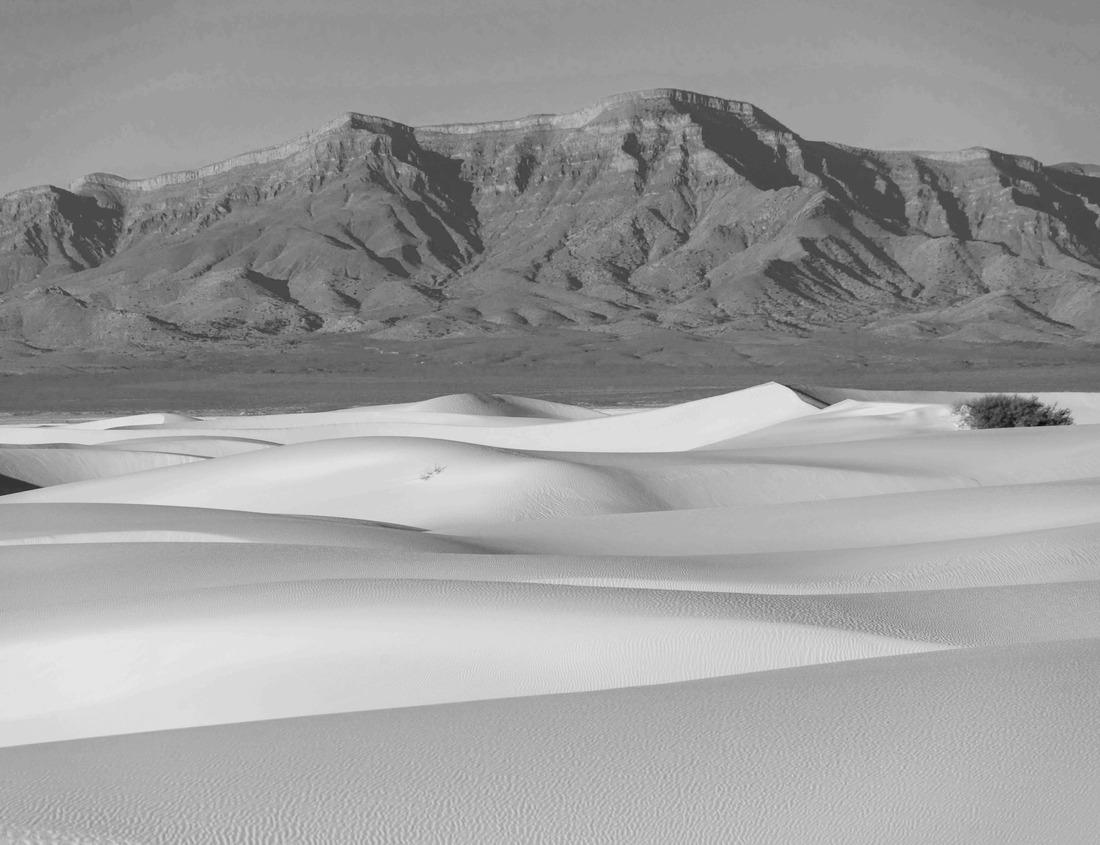 Noah Jigsaw Puzzle Lausanne city, view of the historical gothic Cathedral, Old town roofs and Lake Geneva, Switzerland in black white 1000 pieces