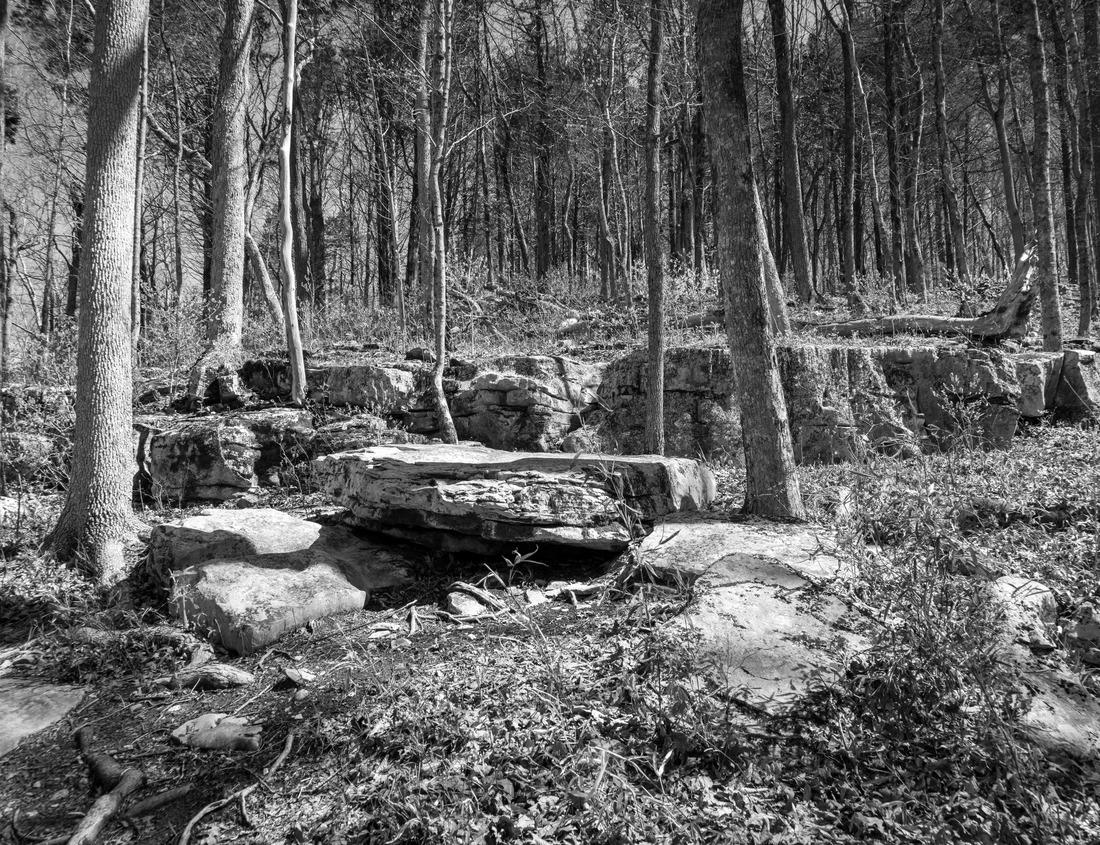Noah Jigsaw Puzzle Dana Point Harbor from the hiking path above in Southern California, USA on a sunny day in black white 1000 pieces