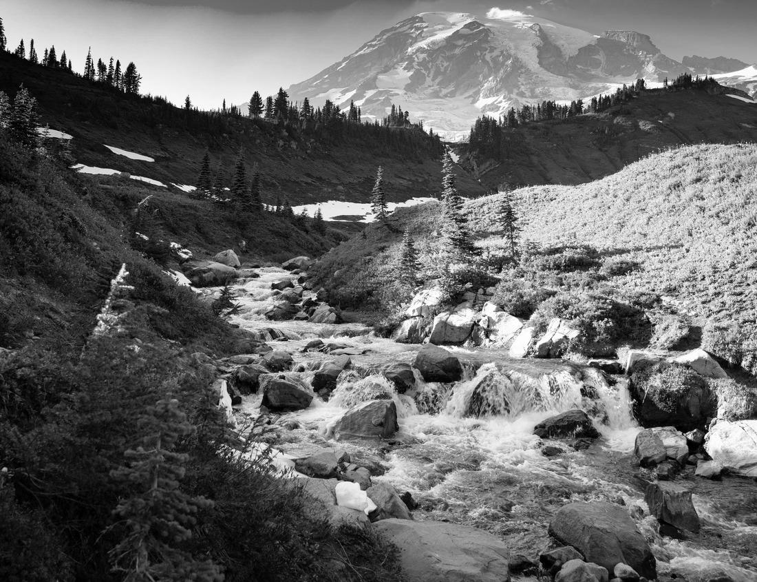 Noah Jigsaw Puzzle Grudziadz city over the Vistula in the afternoon sun. Poland in black white 1000 pieces