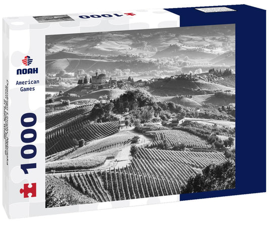 Noah Jigsaw Puzzle Downtown Lincoln, Nebraska from the capitol building in black white 1000 pieces