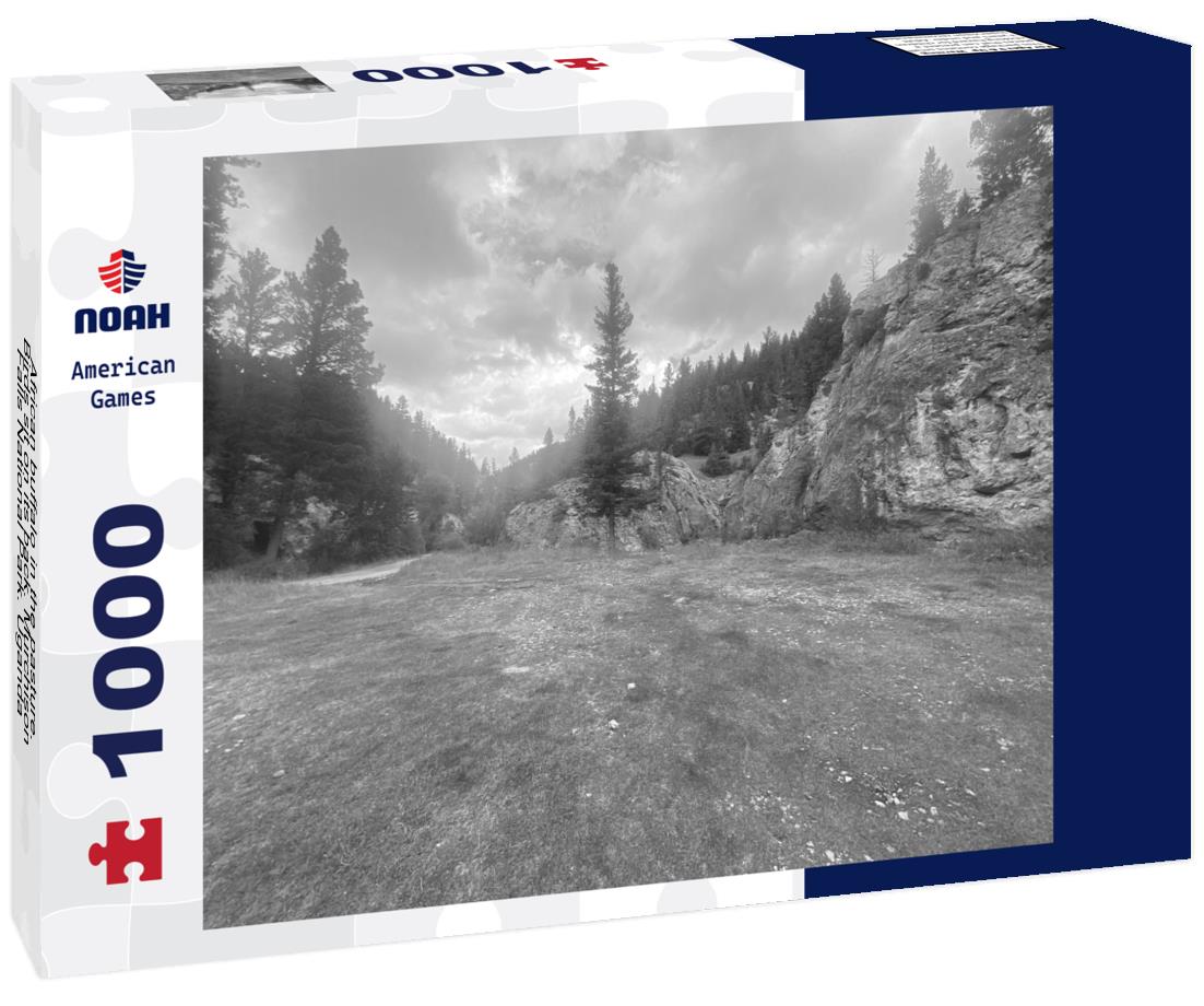 Noah Jigsaw Puzzle African buffalo in the pasture. Birds sit on its back. Murchison Falls National Park. Uganda, Africa in black white 1000 pieces