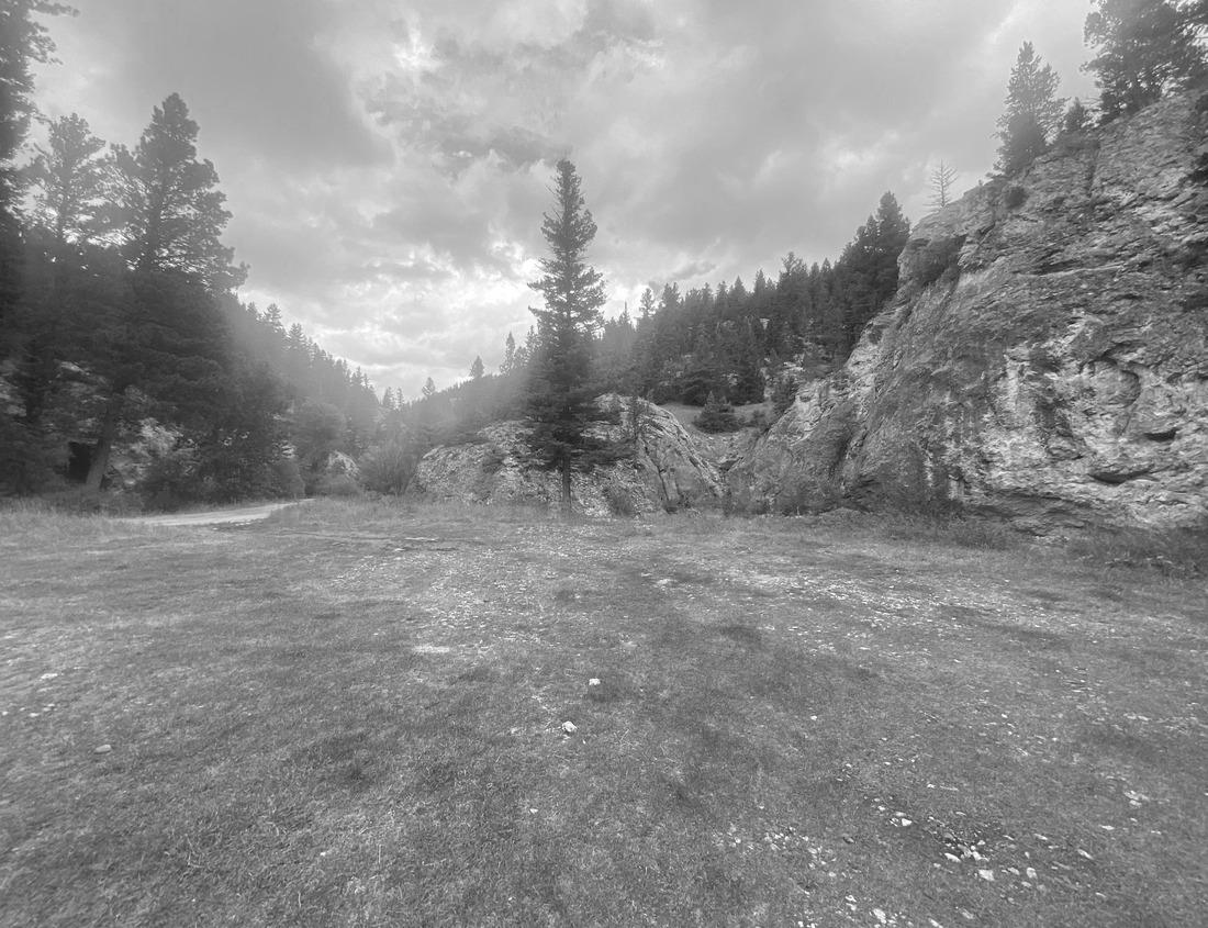 Noah Jigsaw Puzzle African buffalo in the pasture. Birds sit on its back. Murchison Falls National Park. Uganda, Africa in black white 1000 pieces