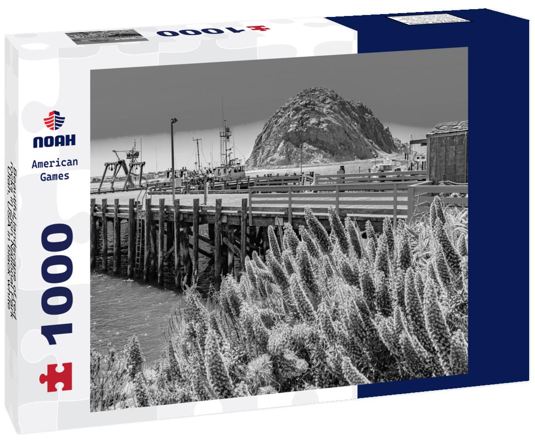 Noah Jigsaw Puzzle Beautiful landscape of red rocks in Zion National Park, Utah, USA in black white 1000 pieces