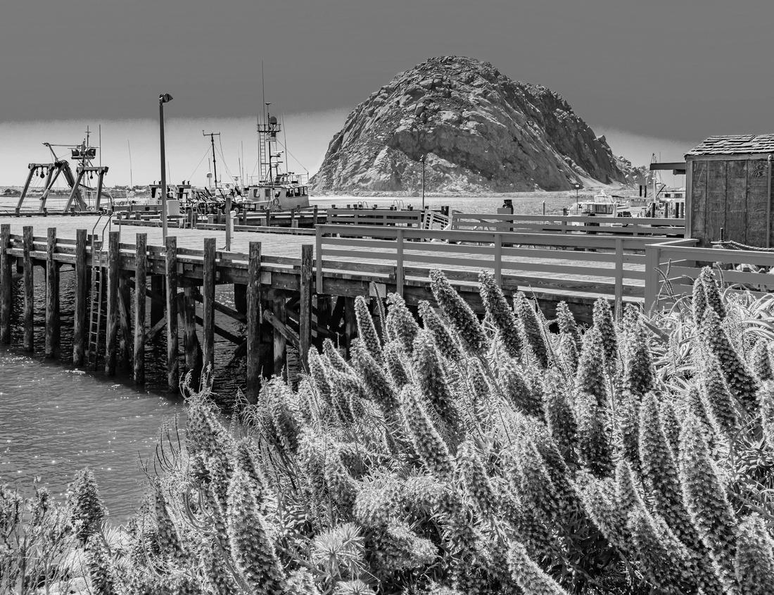 Noah Jigsaw Puzzle Beautiful landscape of red rocks in Zion National Park, Utah, USA in black white 1000 pieces