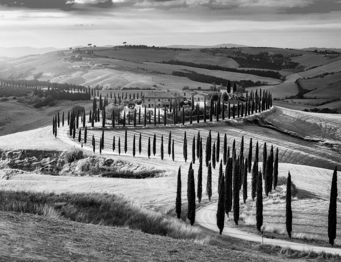 Noah Jigsaw Puzzle Historic tower Hoofttoren in the harbor of Hoorn, North Holland, Netherlands in black white 1000 pieces