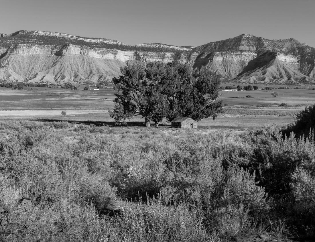 Noah Jigsaw Puzzle Bonita Springs, Florida city in Collier County with entrance to famous Barefoot Beach with road through neighborhood's luxury homes in black white 1000 pieces