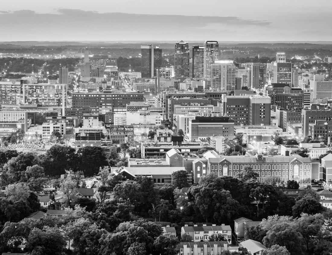 Noah Jigsaw Puzzle Downtown Fort Worth Buildings Water park in black white 1000 pieces