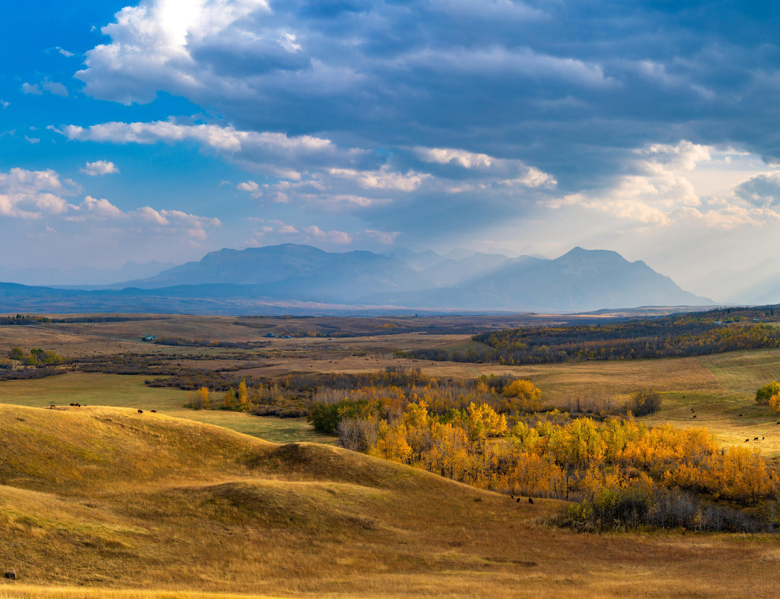 Noah Jigsaw Puzzle Great Plains and forest in beautiful fall. Sunlight through blue sky and clouds on mountains. Autumn color background. Waterton Scenic Spot, Waterton Lakes National Park, Alberta, Canada 1000 pieces