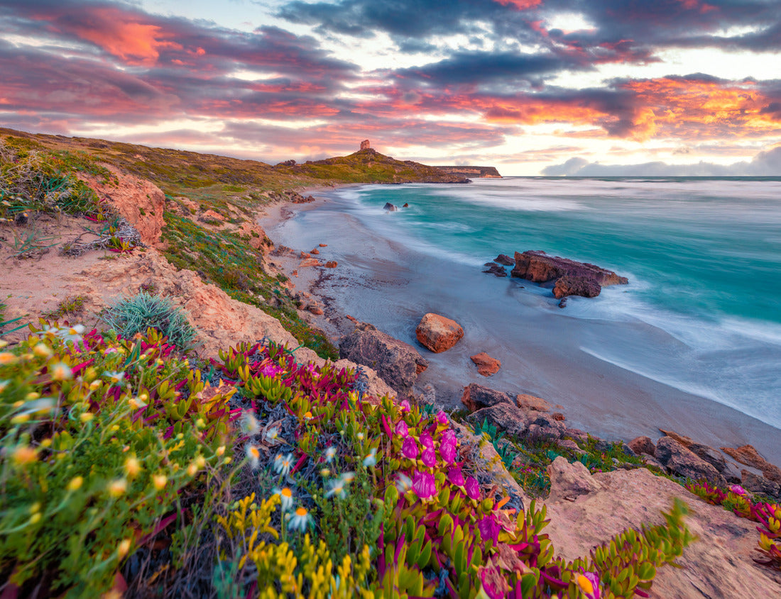 Noah Jigsaw Puzzle Beautiful spring landscape. Colorful morning scene of Sardinia, Italy, Europe. Fantastic sunrise on the Capo San Marco lighthouse on the Del Sinis peninsula 1000 pieces